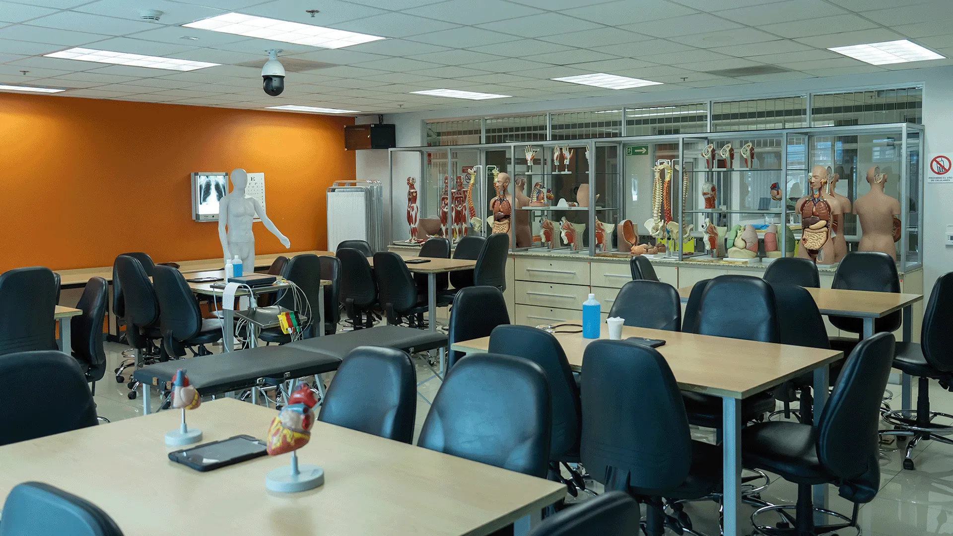 Galer&iacute;a imagen 3